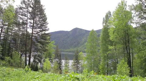 Lake Teletskoye Stock Footage 50826586