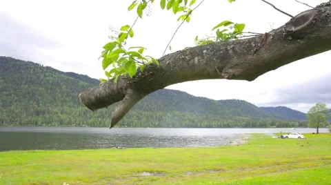 Lake Teletskoye Stock Footage 50873971