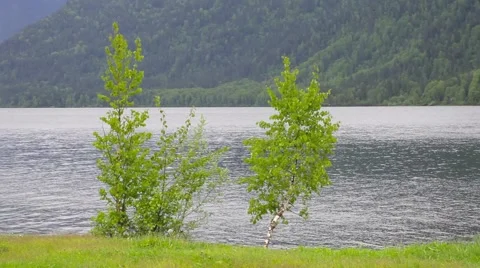 Lake Teletskoye Stock Footage 50874320