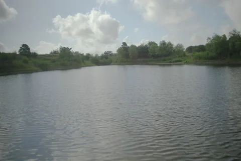 Lake in Texas 2 Stock Footage 277949955