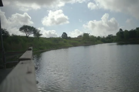 Lake in Texas Stock Footage 277949917