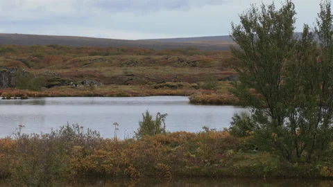 Lake in tha autumn Stock Footage 345938021