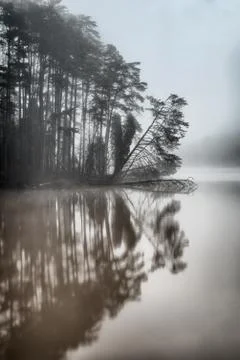 Lake thomalex Stock Photos