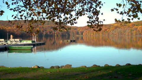 Lake Through Tree Stock Footage 245310274