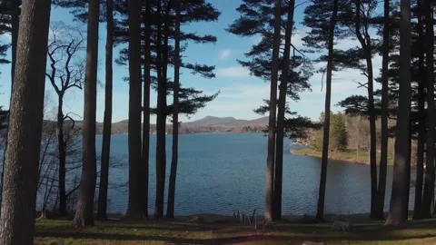 Lake through trees Video stock 130213160