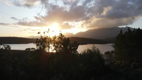 Lake through trees Vídeos de archivo 237838331