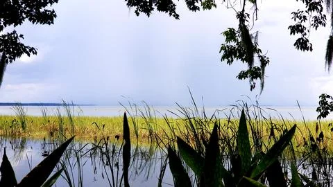 Lake Through the Trees 스톡 사진