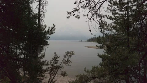 Lake Through Trees UHD Stock Footage 179727884