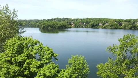 LAKE THRU TREES Stock Footage 195881662