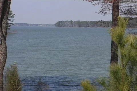 Lake thru trees Static 库存影片 110883