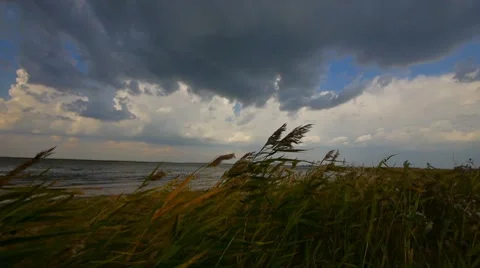Lake before a thunder-storm 2 Vídeos de archivo 8653648