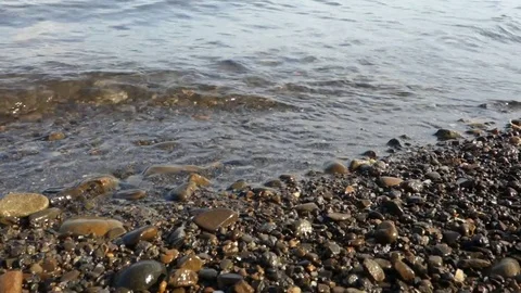 Lake tidal waves on the shore Stock Footage 111459716