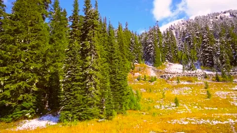 Lake Tipsoo Mt Rainier Stock Footage 139527670