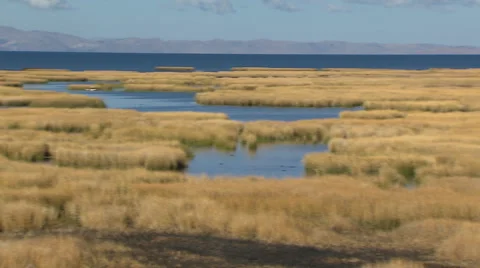 Lake Titicaca, fields, scenery Stock Footage 49365831