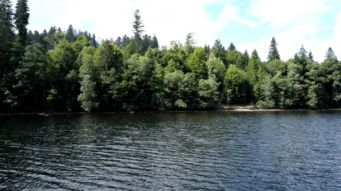 On Lake Titisee in the Black Forest, Germany Stock Footage 81746974