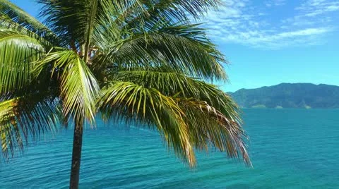 Lake Toba in Sumatra Stock Footage 10904148