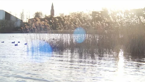 Lake Toolo crop Stock Footage 143011942