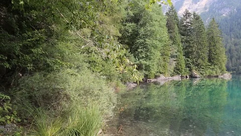 Lake  Tovel Stock Footage 91696622