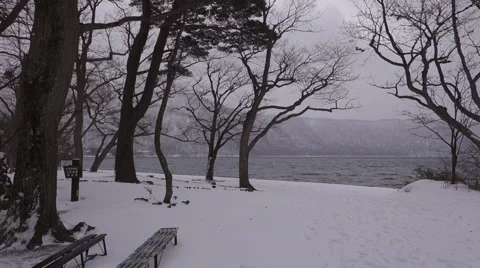 Lake Towada in cloudy day. Stock Footage 47790997