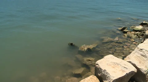 Lake Travis low water Stock Footage 39295933