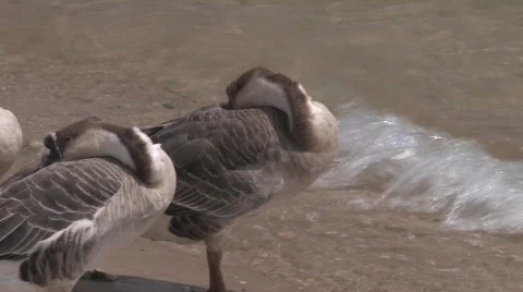  Lake Travis, Travis County Texas45 Stock Footage 710192