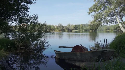 Lake with tree forest and clear blue sky background, Portugal Stock Footage 128927202