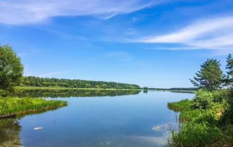 Lake, tree, forest, nature Stock Photos