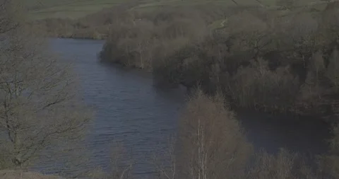 Lake in tree surroundings, 4k, VLOG, 24fps Stock Footage 277229869