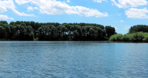 Lake with treeline in the background Stock Footage 199083468