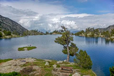 Lake with trees and a bench Stock Photos