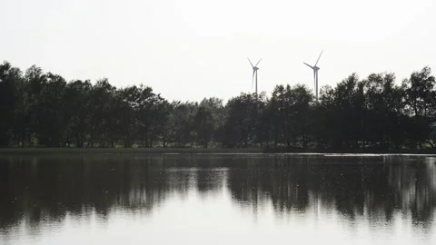 Lake with trees and windmills Stock Footage 148395818