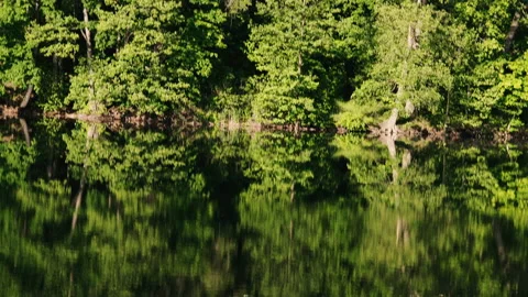 Lake. Trees are reflected in the water of the lake. Stock Footage 132852552