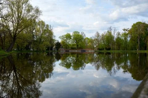 Lake with trees in the background and a cloudy sky Stock Photos