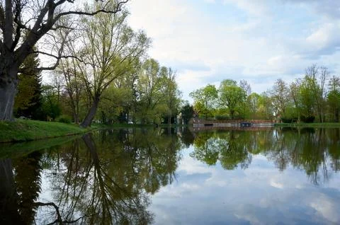 Lake with trees in the background and a cloudy sky Stock Photos