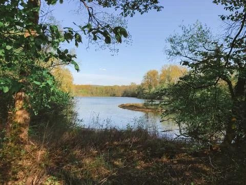 A lake with trees in the background Stock-Fotos