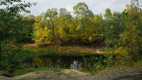 Lake with trees in fall Stock Footage 80872830