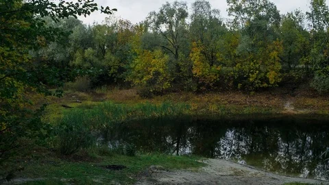 Lake with trees in fall Video stock 80873699