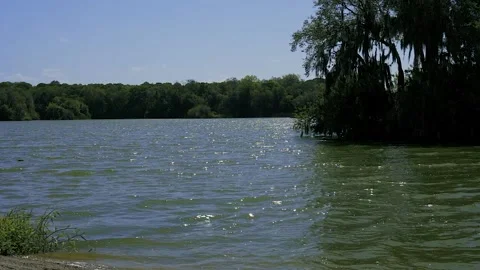 Lake with Trees Video stock 185622194