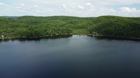Lake with trees | Lake | Forest | Arial Forest | Ocean | Arial Forest | Sky Stock Footage 230197475