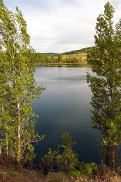 Lake with trees Fotos Stock