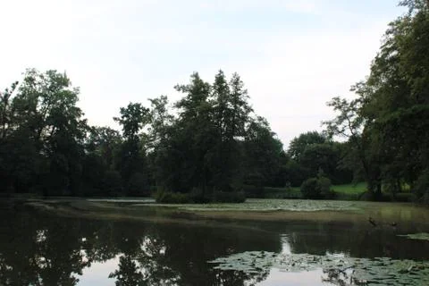 Lake with trees Stock Photos