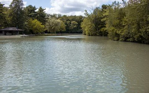 Lake by the trees Stock Photos