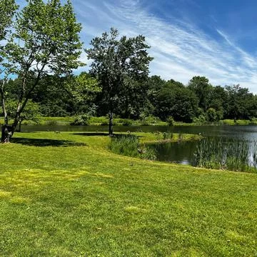 By the Lake with trees Stock Photos