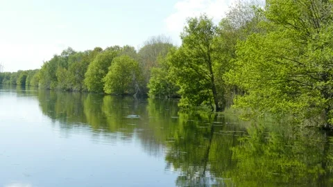 Lake with trees in spring, Germany, Europe Stock Footage 130191780
