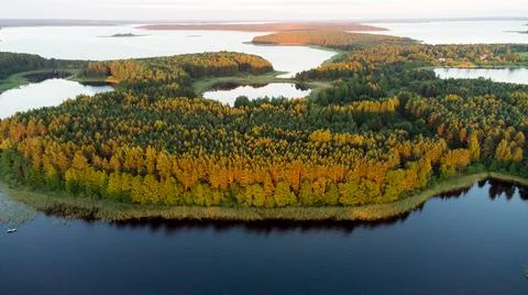 Lake trees in sunset fire 스톡 사진