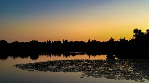 Lake with trees in the sunset Stock Photos