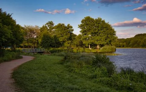 Lake with trees in the sunset Stock Photos