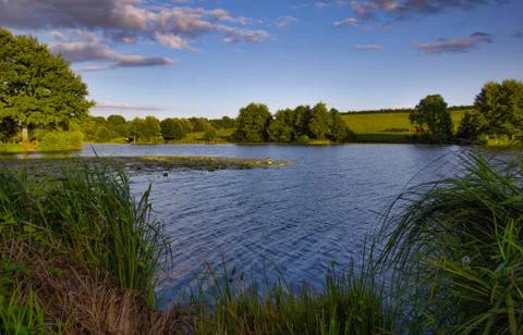 Lake with trees in the sunset Stock Photos