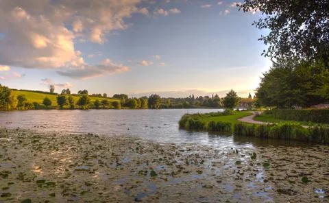 Lake with trees in the sunset Stock Photos