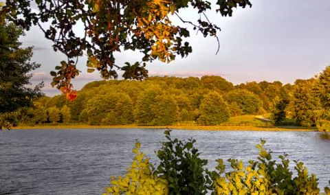 Lake with trees in the sunset Stock Photos